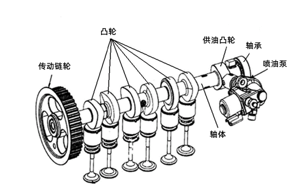 凸輪軸結構圖-柴油發(fā)電機組.png