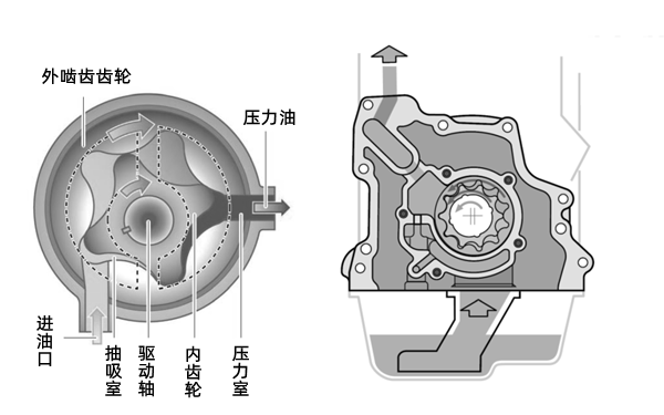 機(jī)油泵結(jié)構(gòu)剖面圖-柴油發(fā)電機(jī)組.png