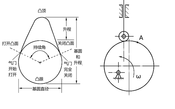 凸輪圖及輪廓線.png