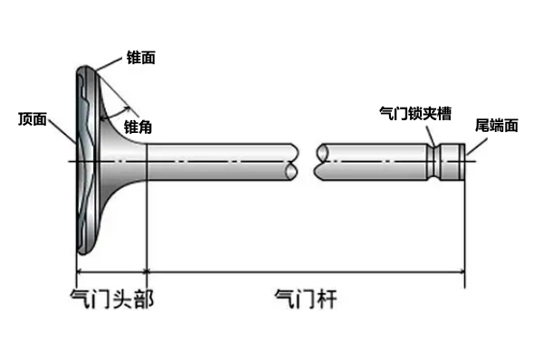 柴油發(fā)動機(jī)氣門結(jié)構(gòu)圖.png