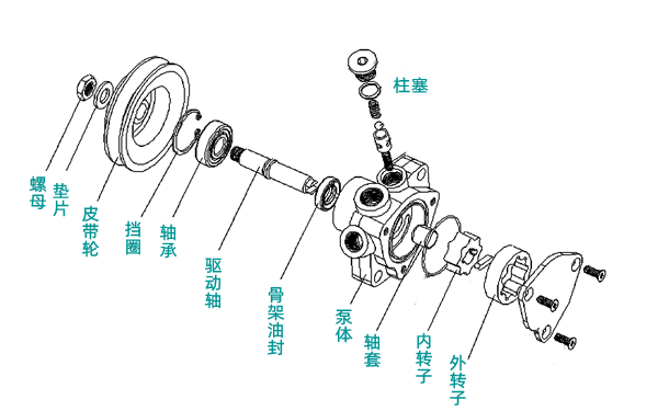 燃油輸油泵結(jié)構(gòu)圖-柴油發(fā)電機(jī)組.png