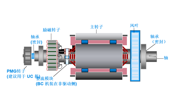 斯坦福發(fā)電機雙軸承轉(zhuǎn)子總成.png