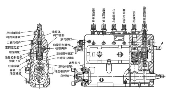 柴油機(jī)6缸B型噴油泵剖面圖.png