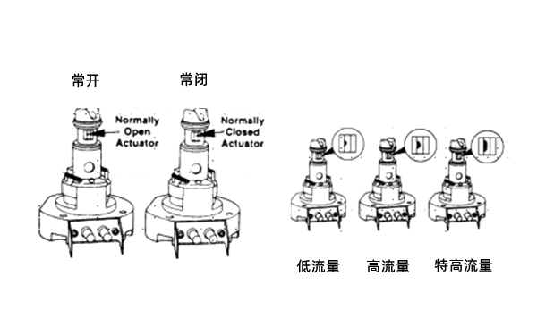 電子執(zhí)行器（泵芯）-康明斯柴油發(fā)電機(jī)組.png