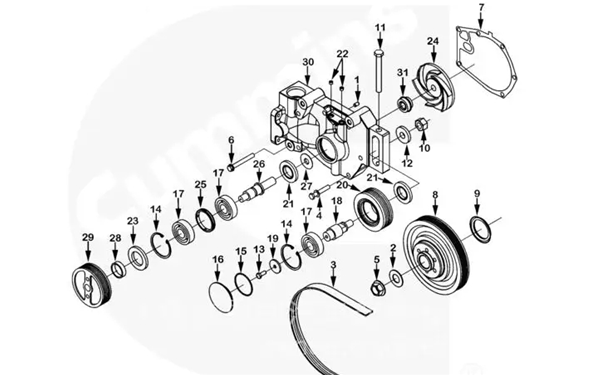 水泵總成4979139零件圖-康明斯柴油發(fā)電機(jī)組.png