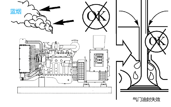 氣門導(dǎo)管油封失效導(dǎo)致柴油機(jī)冒藍(lán)煙.png