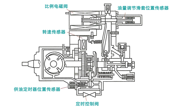 電控位置式分配泵結構圖-柴油發(fā)電機組.png